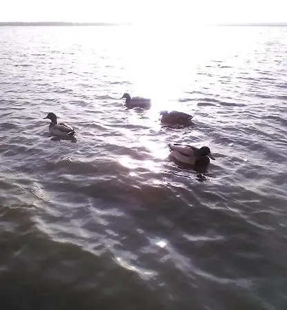 Apartament Arka1, Na Wodzie W Mielnie 400 M Plaza, Rower Wodny, Szybki Internet, Netflix, Parking